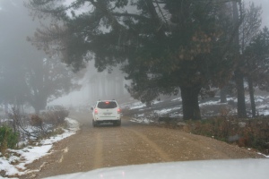 Swartberg - Snow - Thumbnail