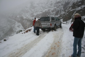 Swartberg - Snow - Thumbnail