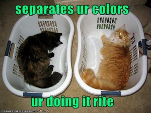 funny-pictures-you-seperate-your-colours1